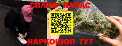 МДПВ Новозыбков