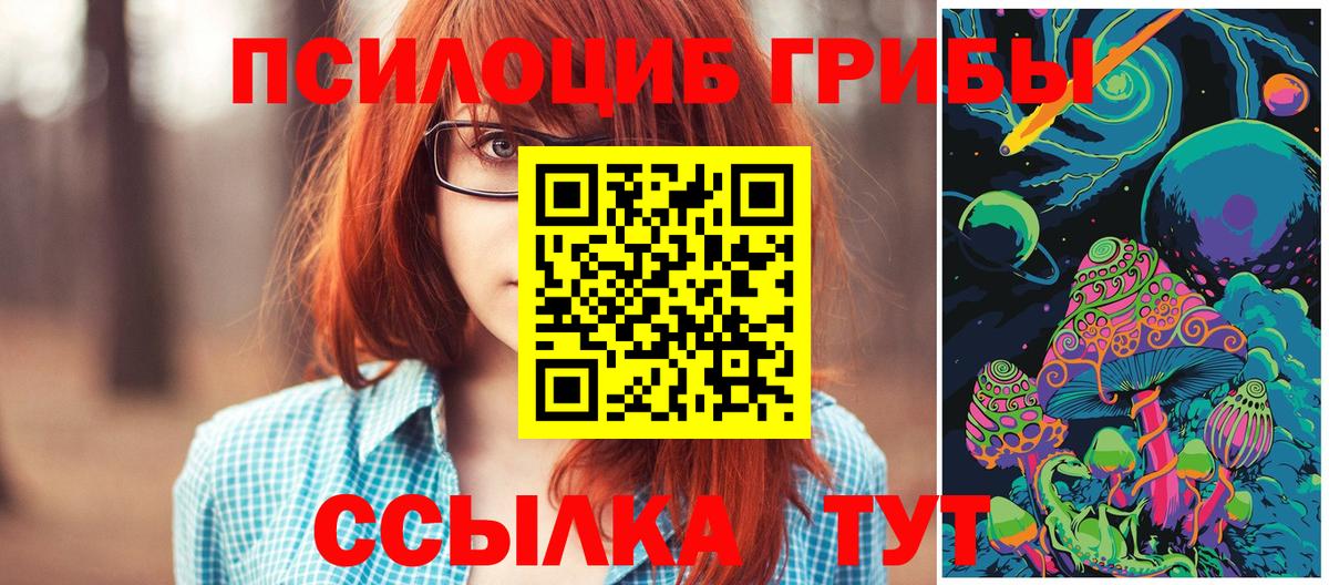 Псилоцибиновые грибы прущие грибы  Вход с VPN  Ступино 