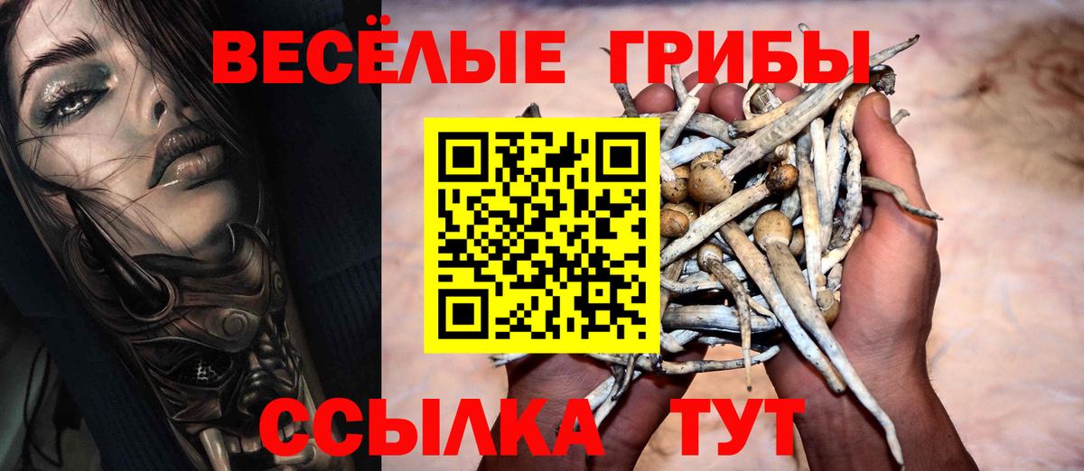 Галлюциногенные грибы Cubensis Ступино